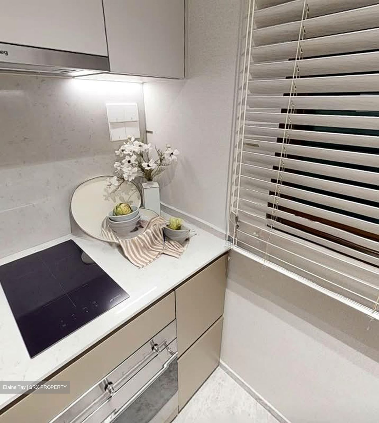 Dunearn Road (D11), Condominium #591793731